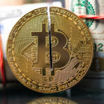 Understanding Bitcoin’s Post-Halving Downturns