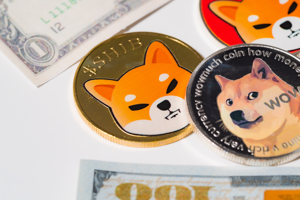 DOGE and SHIB Exhibit ‘Sticky Liquidity,’ Highlighting Meme Token Resilience
