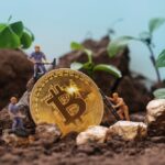 Bitcoin Miners See Surge in Transaction Fees Since Halving, Says Bernstein