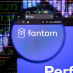 Fantom Co-Founder Explores Safer Meme Coin Strategies